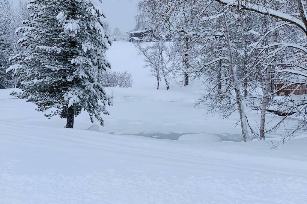 Zuhaus Schernfeichten Kitzbühel Dış mekan fotoğraf