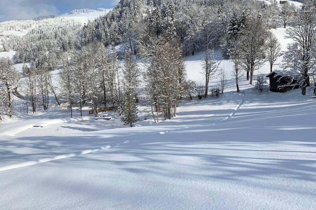 Zuhaus Schernfeichten Kitzbühel Dış mekan fotoğraf