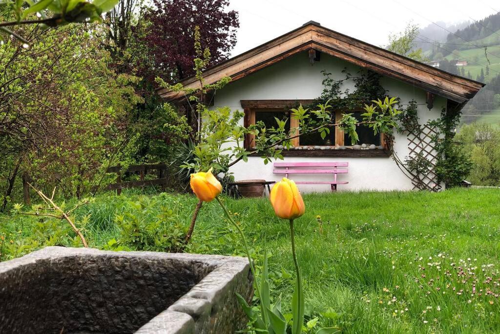 Zuhaus Schernfeichten Kitzbühel Dış mekan fotoğraf